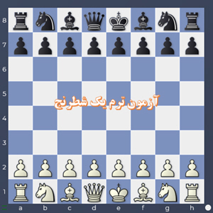 ترم یک شطرنج 1